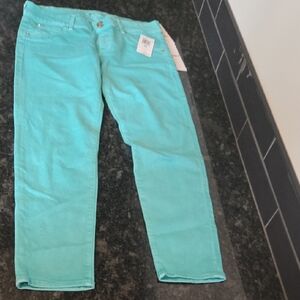 Women's COLLIN Turquoise Jeans